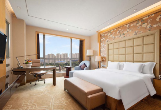 Contemporary Hotel Suite